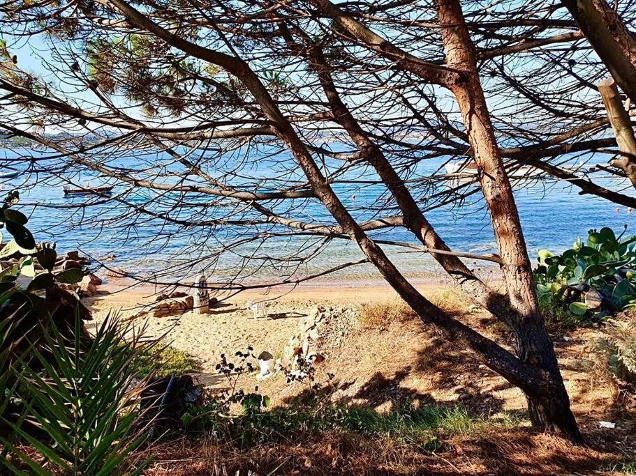 Villetta La Conchiglia La Maddalena  Esterno foto